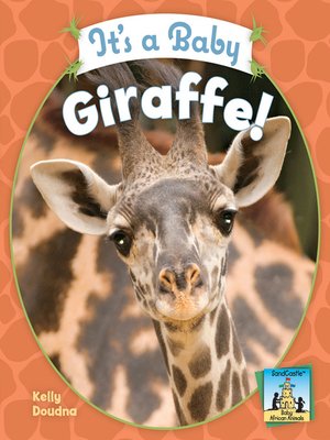 cover image of It's a Baby Giraffe!